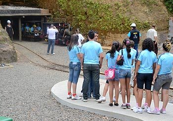 Além de lar, eles também precisam de amizade e carinho