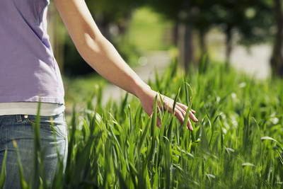 ia Internacional da Mulher Rural