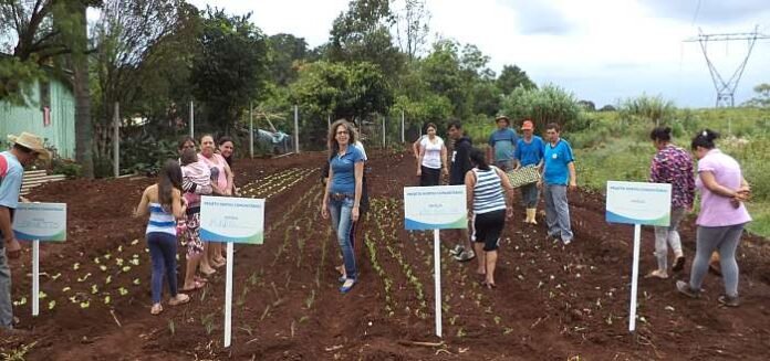 Horta Comunitária em Xanxerê